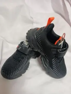 Item thumbnail for item 130fa7bd-5637-4d79-bb62-14193eae0ab4