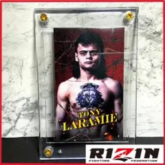 Item thumbnail for item f2a8da7f-1b46-421e-b025-e99708bae37d