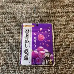UHA味覚糖 忍者めし 鉄の鎧 アクリルキーホルダー 非売品 - メルカリ