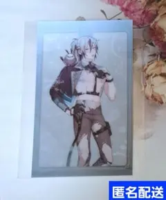 2025年最新】カーニヴァル の人気アイテム - メルカリ