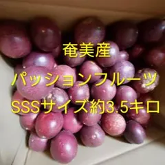 奄美産 加工用パッション SSSサイズ 約3.5キロ➀のサムネイル