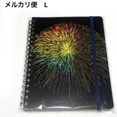 Item thumbnail for item e33872d8-c1bf-443a-8a4a-dc96528fa203