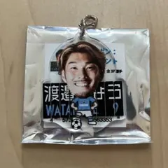 ジュビポン　モニュメントチャーム　No.9 渡邉りょう選手