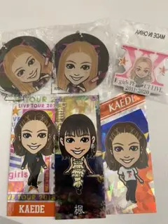 楓千社札 アクリルミラー ピンバッジ セット