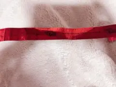 アリツア アリーナツアー すとぷり 莉犬くん 銀テープ Here We Go!!
