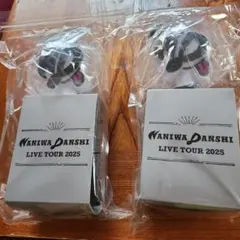 なにわ男子、ペンライト、2本K&K様専用です