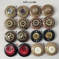 ボタンカボション250① 11/6