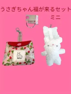 うさはむ様 リクエスト 2点 まとめ商品