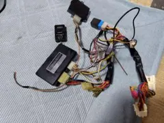 Item thumbnail for item 780f7389-403f-4773-a5cb-bddd3cb34165