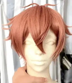 エース コスプレ ウィッグ ツイステ - メルカリ