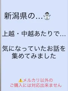 2026年最新】バスガイド資料の人気アイテム - メルカリ
