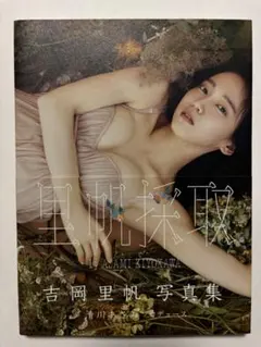 Item thumbnail for item 5513f893-c295-4067-8289-d6ee67303b55