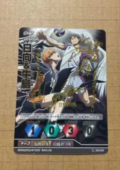 ハイキュー!!　バボカ　サイン　日向　牛島　　特典