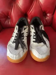 Item thumbnail for item 9140966a-caa7-45e3-a609-713106f83400