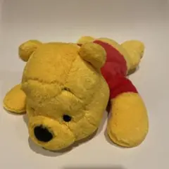 [良品]くまのプーさん　ポケットティッシュケース　ディズニーランド