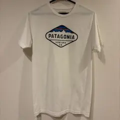 Patagonia パタゴニア　プリントTシャツ