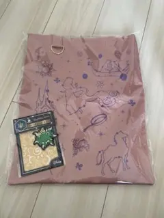 ディズニー ハッピーくじ Wishing Stars ラプンツェルセット