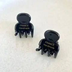 【2個セット】 新品 アセテート ミニヘアクリップ マーブル ヘアアレンジ