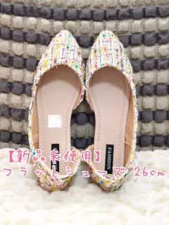 【SHEIN】フラットシューズ メッシュパンプス 26cm【未使用新品】のサムネイル