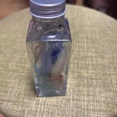 ◇ハーバリウム 251 優しいお色のbottle *.:。アンティーク