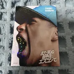 エスコン 応援グッズ