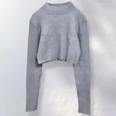 ムルーア MURUA クロップド丈 リブニット ラメ シンプル F《b114