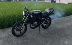 tzr50r 実働 愛媛県 最終値下げ 15