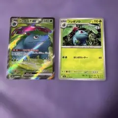 フシギバナex フシギソウ 2枚セット ポケモンカード
