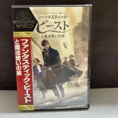 ファンタスティック・ビーストと魔法使いの旅('16英/米)