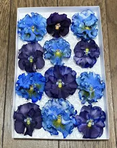 さこ様 リクエスト 2点 まとめ商品