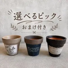 ＊リメイク鉢　2号サイズ　単品から　 おまけピック付き✰のサムネイル