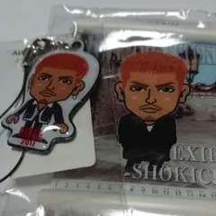 SHOKICHI ミニタペストリー、クリーナー