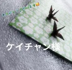 ケイチャン様 リクエスト 2点 まとめ商品
