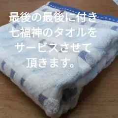 Item thumbnail for item 510429f5-900e-4033-bf80-91f25d6dc2dc