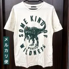 ZARA 恐竜 グラフィックプリントTシャツ ラインストーン 半袖 サイズ28