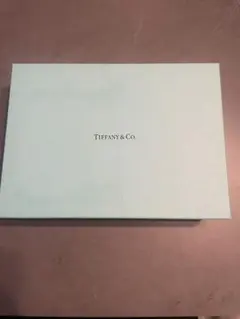 Tiffany & Co. ティファニーブルーボックス