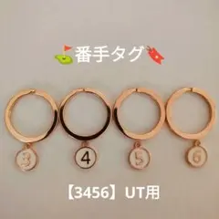 Item thumbnail for item 5fc68b1b-778b-4712-99aa-7ddde85b851f