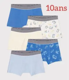 Item thumbnail for item 7329e02c-200b-4f45-a4f6-db7bfe05b1aa