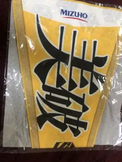 Item thumbnail for item 5cf51746-2349-4259-aa4b-964c46ff51d7