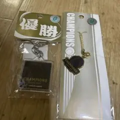 読売ジャイアンツ 2007 優勝記念 キーホルダー2個セット