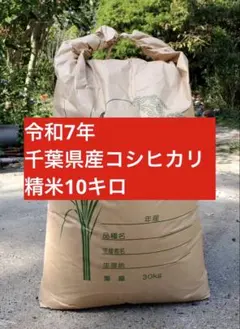 令和8年度福井県勝山市産 コシヒカリ玄米10kg送料込み - メルカリ
