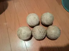 MARUS 軟式野球ボール 5球セット