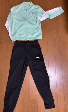 PUMA
