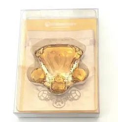 ポケモンセンター ダイカットキラキラミラー ノーマルテラスタル イーブイ ブイズ