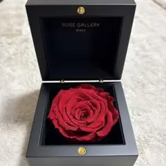 로즈 갤러리 긴자 다이아몬드 로즈 프리저티드 플라워