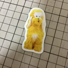 星の時　ステッカー