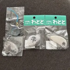 ゴマフアザラシ もちもち はなまる あらし セット 東武動物公園