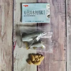 ユージン　原色淡水魚Ⅰ　初版イトウ