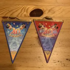 ディズニーランド　40周年　ガーランド　フラッグ　2個セット