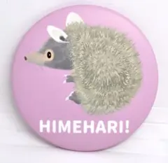 Item thumbnail for item 81e268ea-9a36-4b68-abbc-921f96313e40